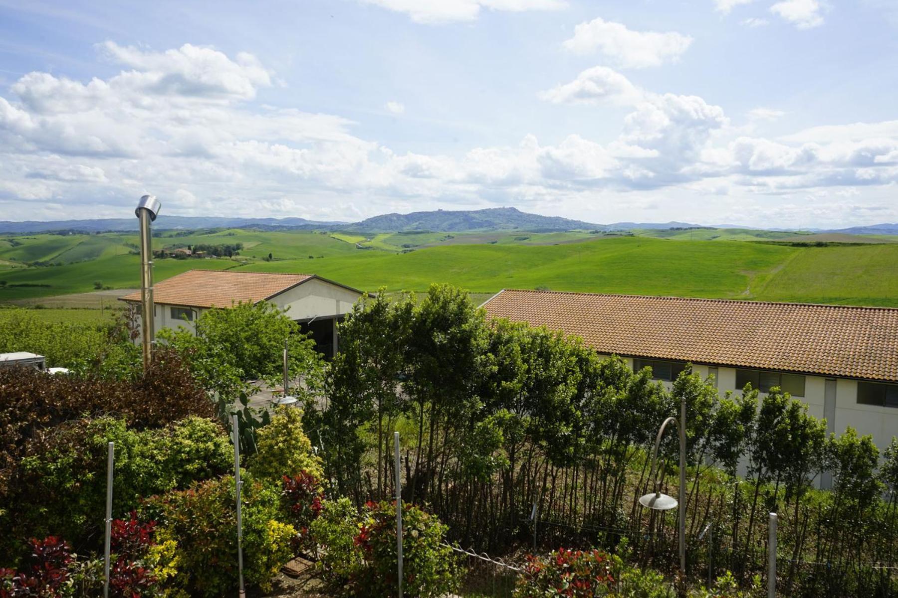 Agriturismo Signorini Orciatico Exterior foto