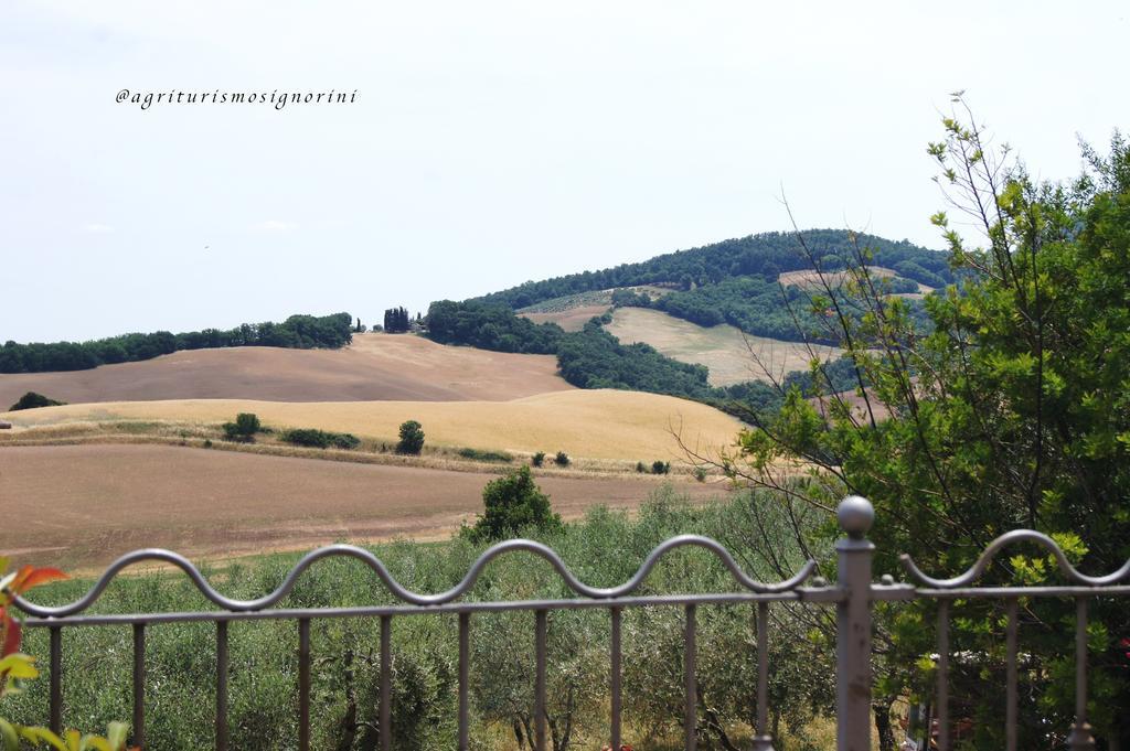 Agriturismo Signorini Orciatico Exterior foto