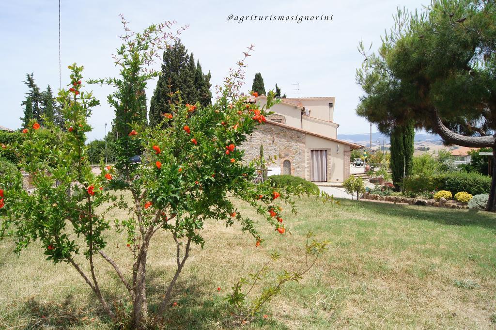 Agriturismo Signorini Orciatico Exterior foto