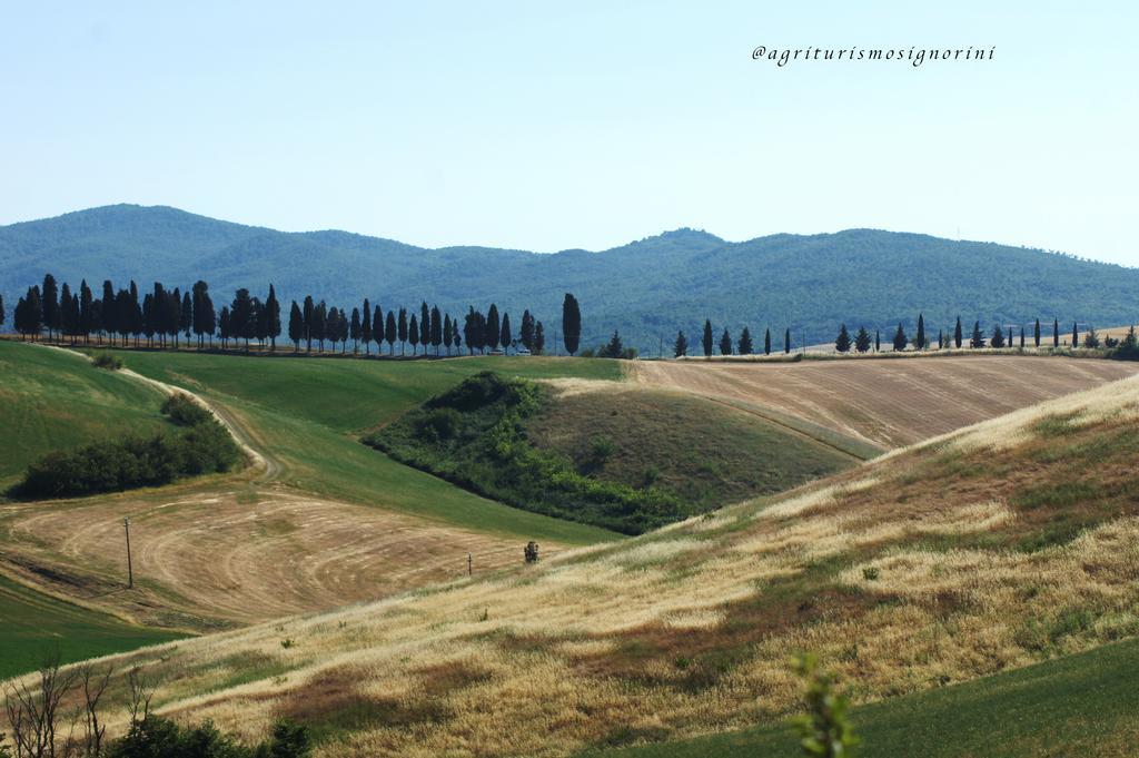 Agriturismo Signorini Orciatico Exterior foto
