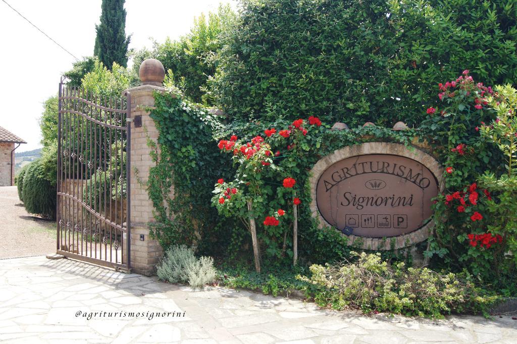 Agriturismo Signorini Orciatico Exterior foto