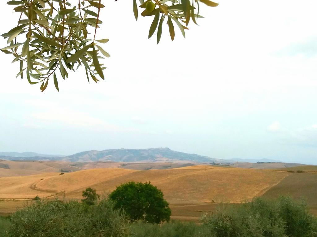Agriturismo Signorini Orciatico Exterior foto